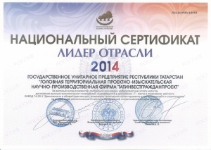 Лидер отрасли 2014